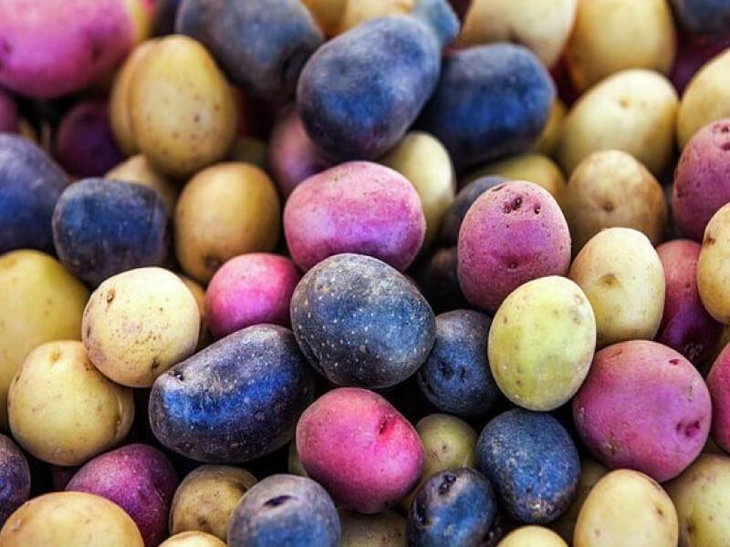Sonhar com Batatas Coloridas