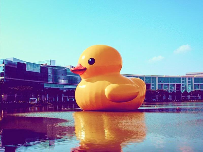 Sonhar com Patos Gigantes