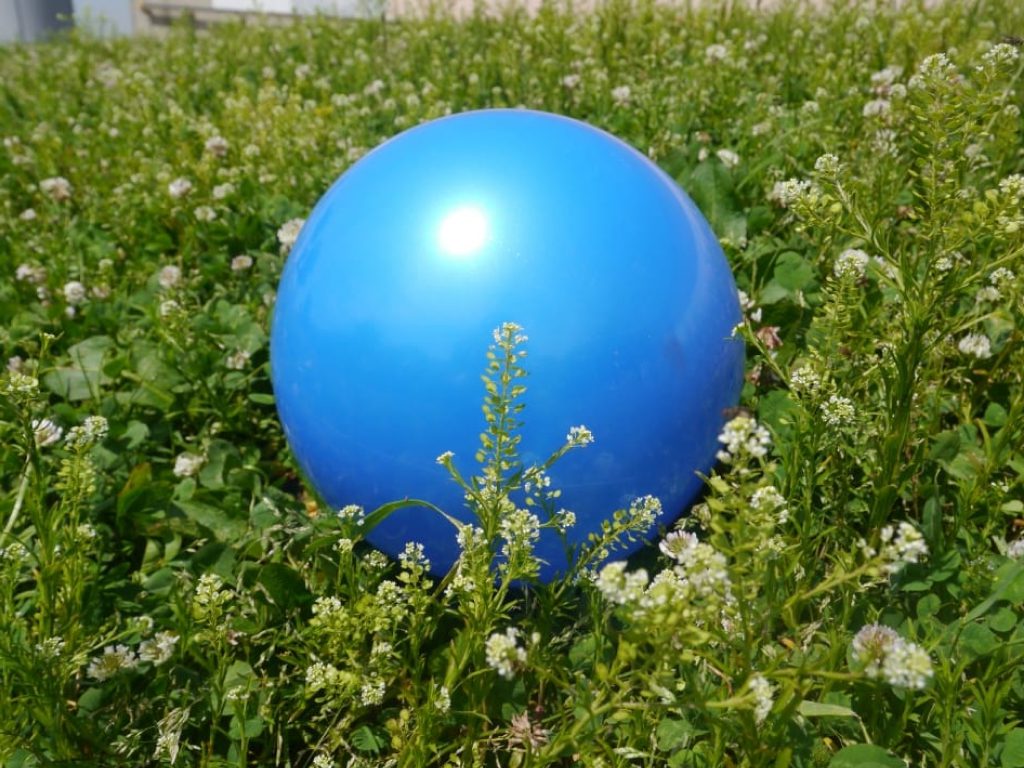 Sonhar com Bola Azul