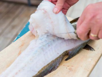 Sonhar com Peixe Aberto
