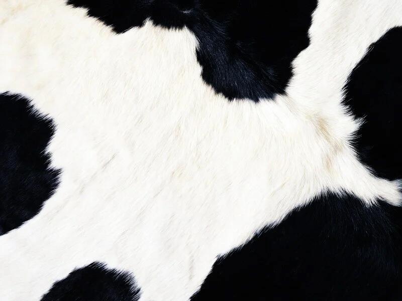 Sonhar com Pele de Vaca