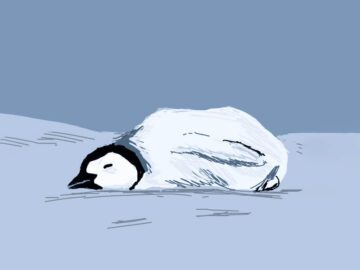 Thumbnail Sonhar com Pinguins Mortos