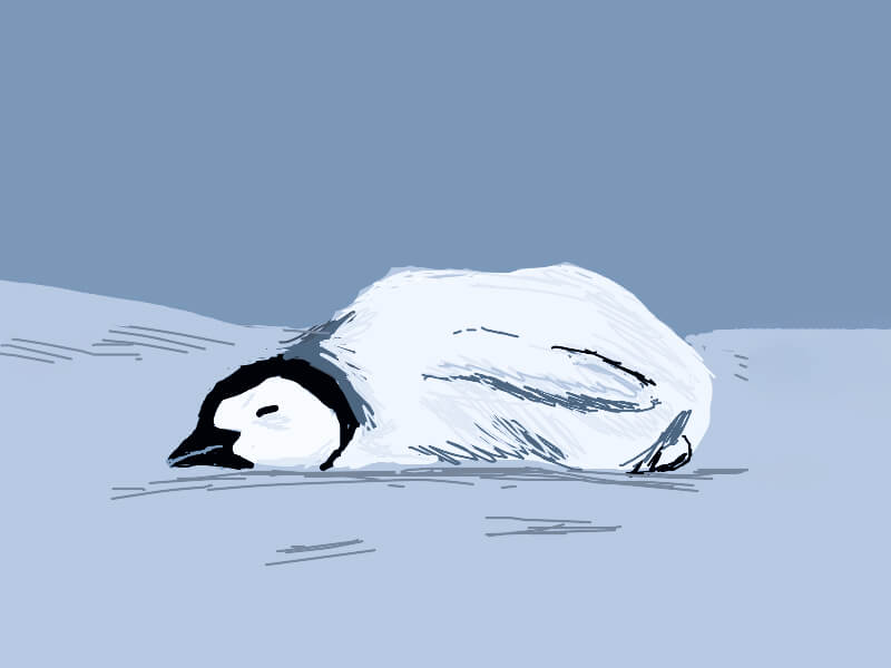 Sonhar com Pinguins Mortos