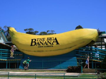 Sonhar com Bananas Grandes