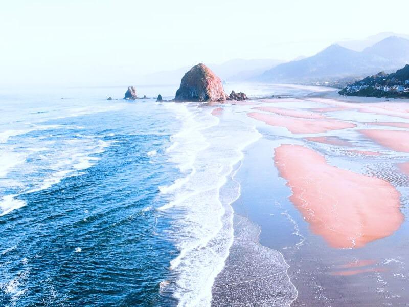 Sonhar com Rebanho de Praia