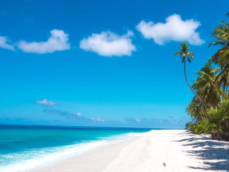 Sonhar com Praia Hermosa