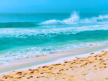 Thumbnail Sonhar com Praia e Areia