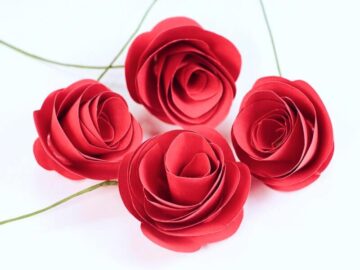 Thumbnail Sonhar com Rosas de Papel