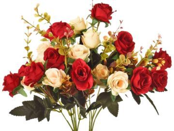 Thumbnail Sonhar com Rosas de Plástico