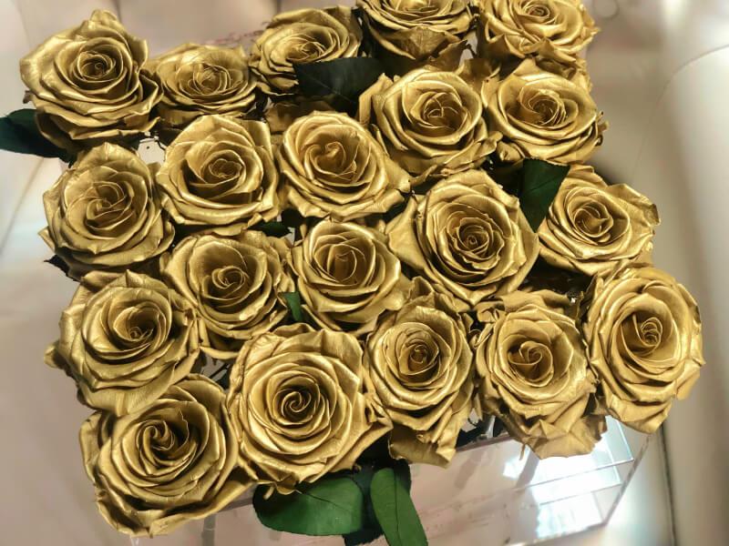 Sonhar com Rosas Douradas