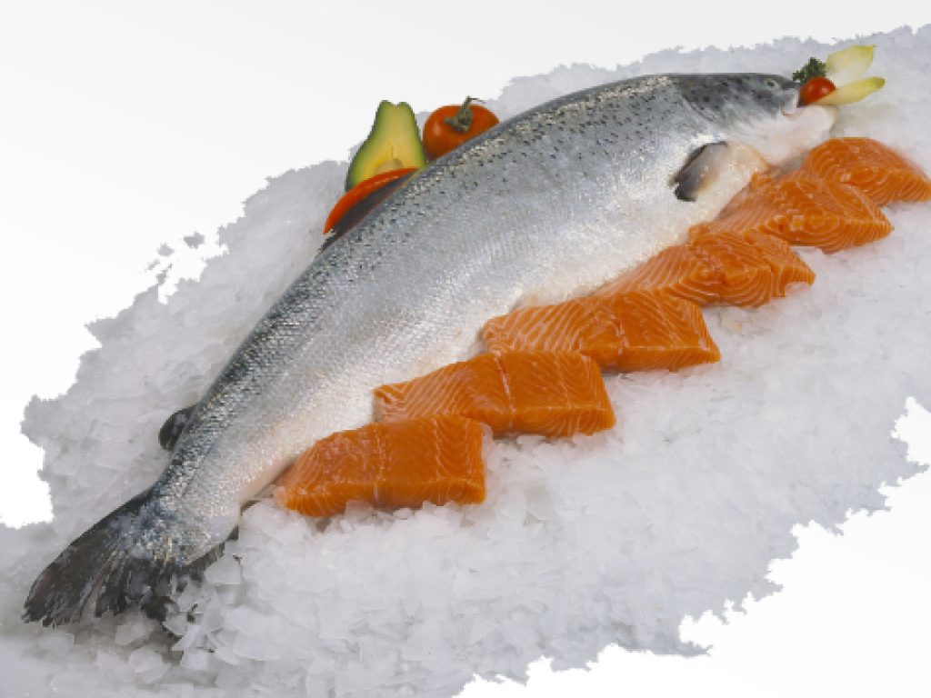 Sonhar com Salmão Congelado