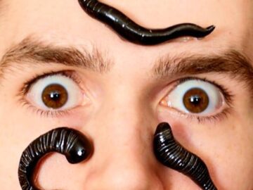 Thumbnail Sonhar com Sanguessugas nos Olhos