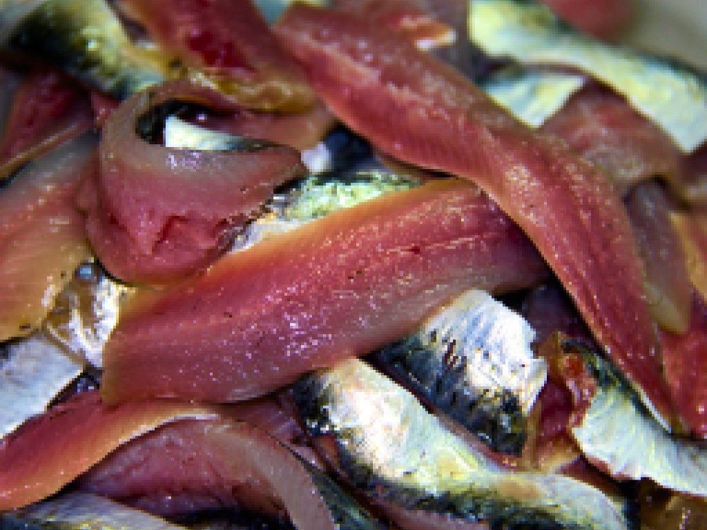 Sonhar com Sardinhas Vermelhas