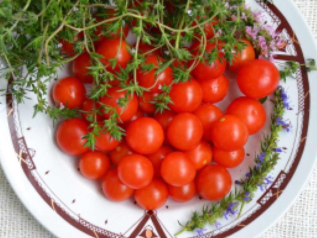 Sonhar com Tomate Pequeno