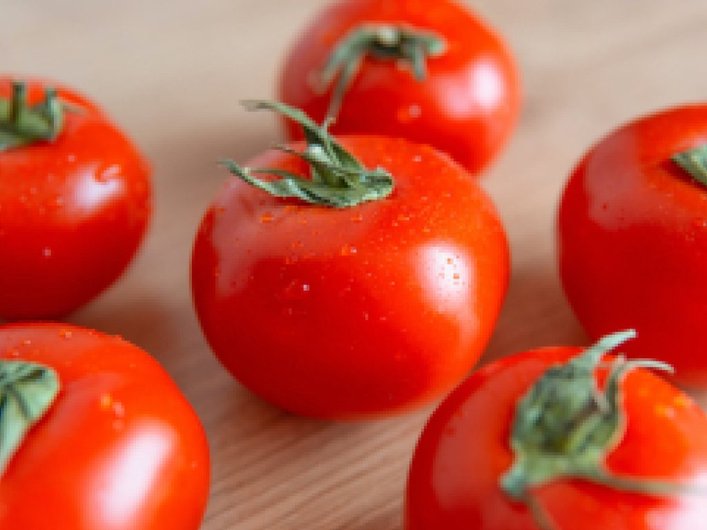 Sonhar com Tomate