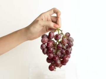 Thumbnail Sonhar com Uvas Grandes