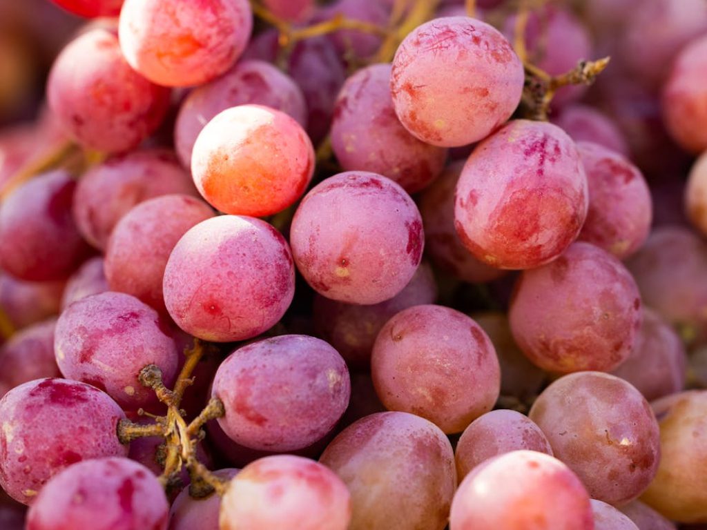 Sonhar com Uvas Rosadas