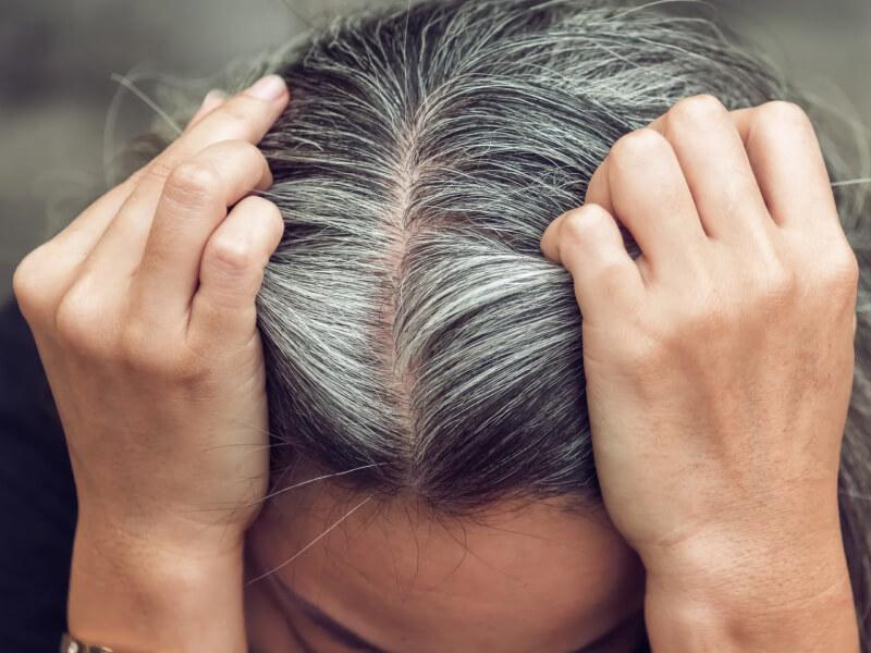 Sonhar com Várias Canas