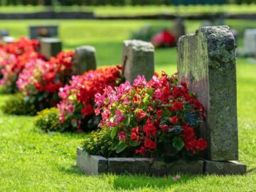 Thumbnail Soñar con Cementerio con Flores