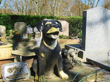 Soñar con Cementerio de Animales
