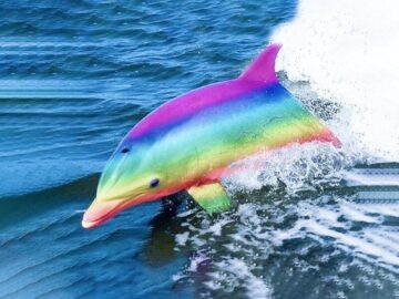 Soñar con Delfines de Colores