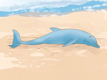 Thumbnail Soñar con Delfines Muertos