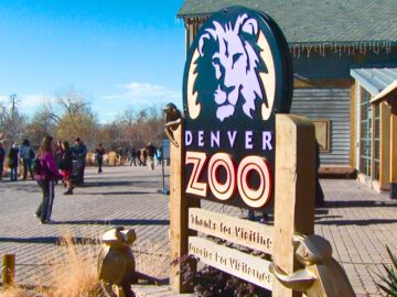 Soñar con Zoológico de Denver